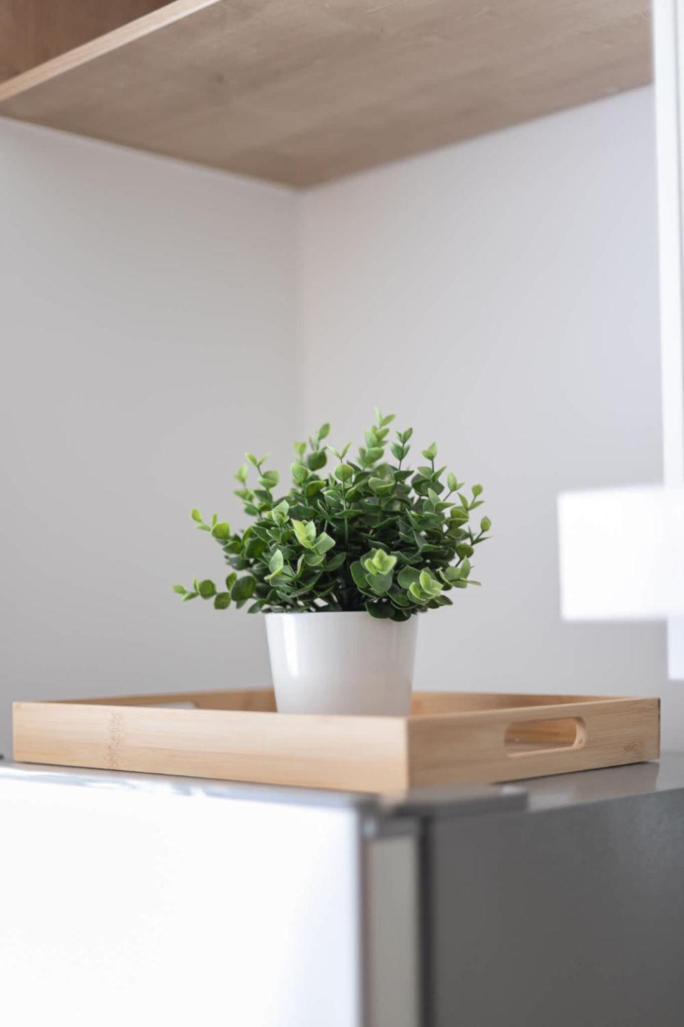 Apartamento Feel Modern And Comfortable Santiago